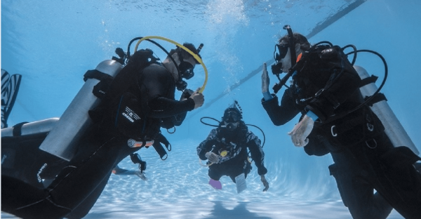Playa Del Carmen: Rescue Diver Course - Pricing and Availability