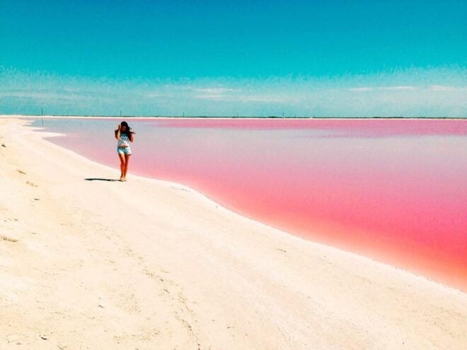 Playa Del Carmen: Rio Lagartos and Las Coloradas Tour - Inclusions and Recommendations