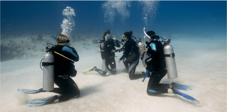 Playa Del Carmen: Scuba Diver Certification Course - Good To Know