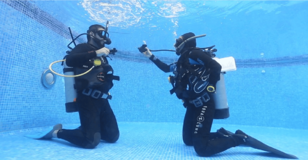 Playa Del Carmen: Scuba Diver Certification Course - Schedule Flexibility