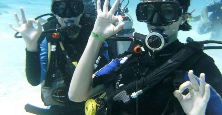 Playa Del Carmen: Scuba Diving With Bull Sharks - Good To Know