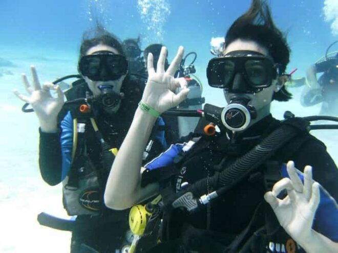 Playa Del Carmen: Scuba Diving With Bull Sharks - Experience Highlights