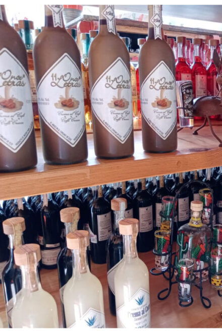 Playa Del Carmen: Shopping Tour, Tasting & 5th Avenue Visit - Tequila and Mezcal Tasting at Tequila Factory