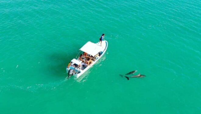 Playa Del Carmen: Sian Kaan Deluxe Boat Tour - Group Size and Languages