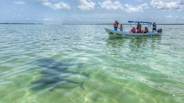 Playa Del Carmen: Sian Kaan Deluxe Boat Tour - Participant Restrictions