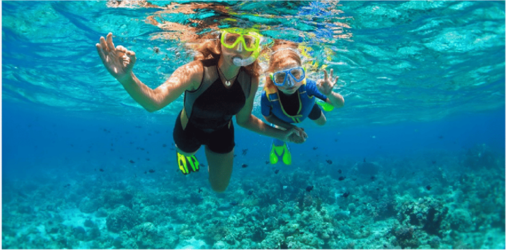 Playa Del Carmen: Snorkel Tour at Local Reef - Itinerary and Experience