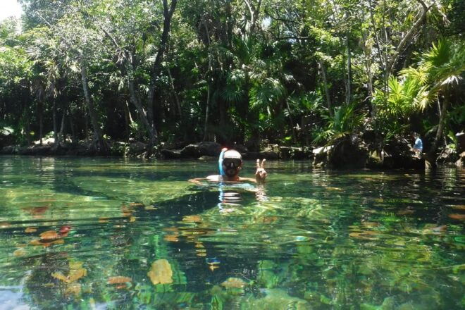 Playa Del Carmen: Snorkeling Cenote in Riviera Maya - Inclusions