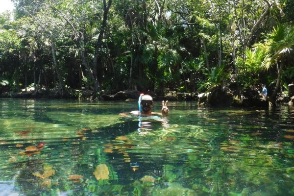 Playa Del Carmen: Snorkeling Cenote in Riviera Maya - Jungle Trekking