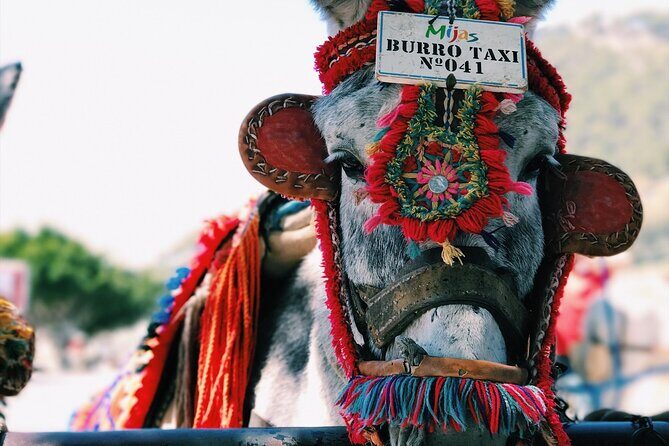 Playa del Carmen to Cancun - Private Transfer with Optional Sightseeing - Who Would Benefit Most?