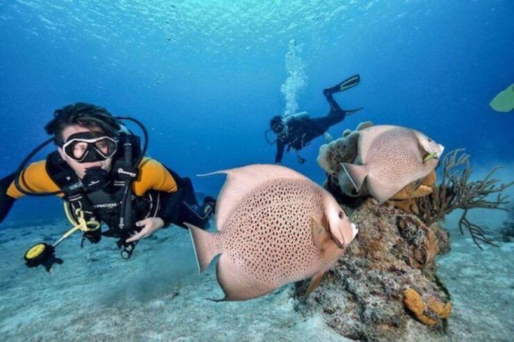 Playa Del Carmen: Try Scuba Diving - Activity Details