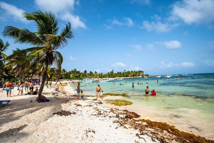 Playa Del Carmen/Tulum: Akumal Beach With Turtle Snorkeling - Good To Know
