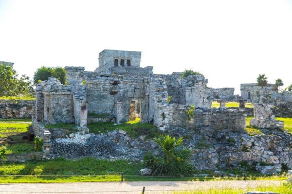 Playa Del Carmen: Tulum, Cenote, and Turtle Tour With Lunch - Refreshing Jungle Cenote Swim