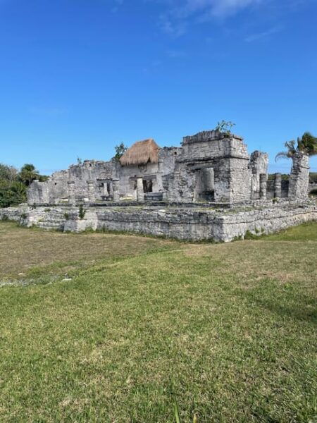 Playa Del Carmen: Tulum, Coba, Cenote & 5th Avenue Tour - Frequently Asked Questions