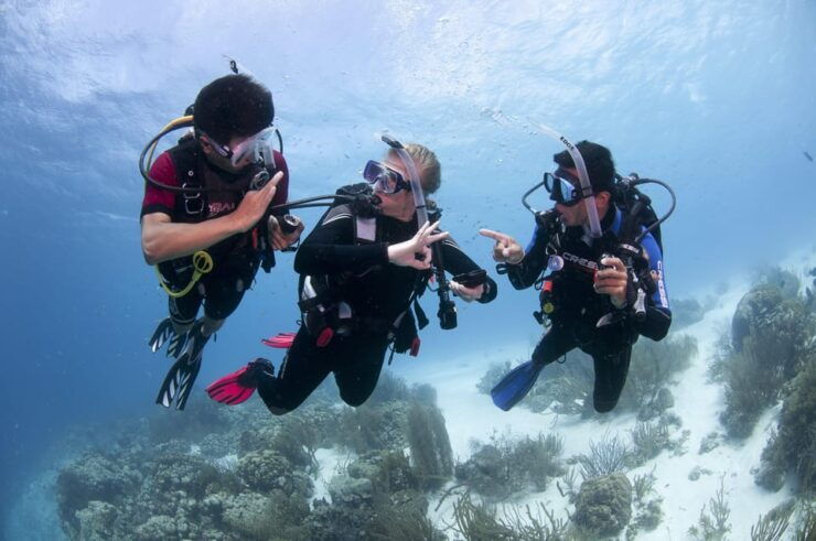 Playa Del Carmen: Ultimate PADI Open Water Diver Experience - Good To Know