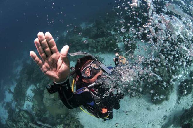 Playa Del Carmen: Ultimate PADI Open Water Diver Experience - Instructor and Language