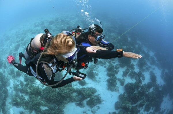 Playa Del Carmen: Ultimate PADI Open Water Diver Experience - Frequently Asked Questions