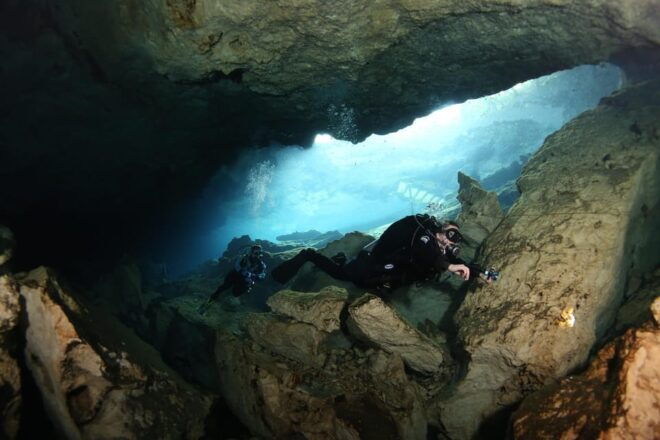 Playa Del Carmen: Unforgettable Dive @ Cenote Chikin Ha - Inclusions and Requirements