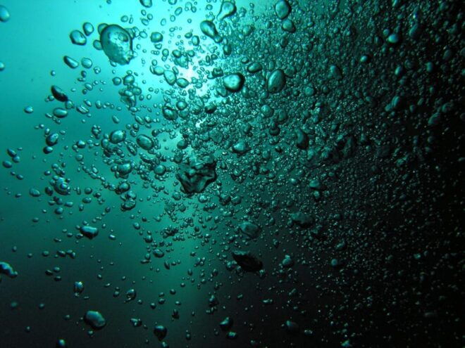 Playa Del Carmen: Unforgettable Dive @ Cenote Chikin Ha - Preparation and Important Information