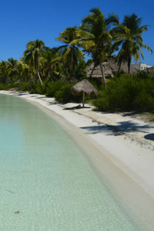 Playa Del Carmen: Visiting Contoy Island and Mujeres Island - Good To Know