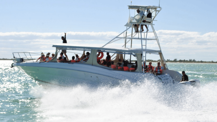 Playa Del Carmen: Visiting Contoy Island and Mujeres Island - Itinerary and Transportation