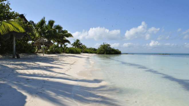Playa Del Carmen: Visiting Contoy Island and Mujeres Island - What to Bring and Recommendations