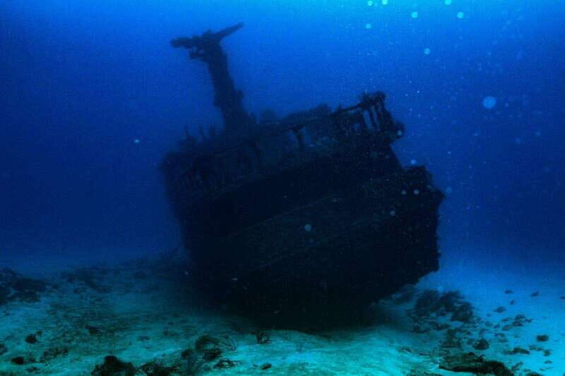 Playa del Carmen: Wreck Dive Mama Viña - An In-Depth Look at the Wreck Dive Mama Viña Experience