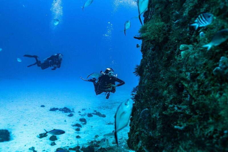 Playa del Carmen: Wreck Dive Mama Viña - FAQ