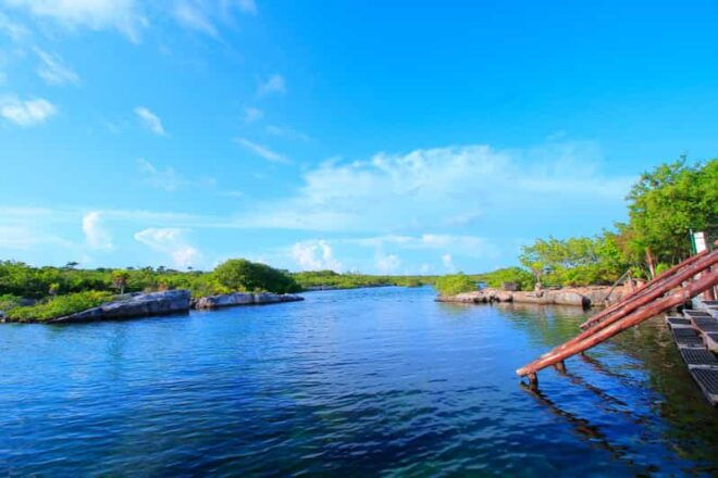Playa Del Carmen Yalku Inlet & 2 Cenotes! Snorkel and Buffet - Inclusions