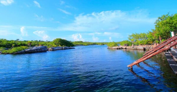 Playa Del Carmen Yalku Inlet & 2 Cenotes! Snorkel and Buffet - Dietary Accommodations