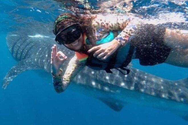 Playa Del Carmen:Whale Shark Experience in the Caribbean Sea - What to Bring and Expectations