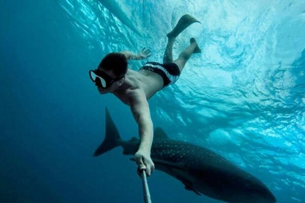 Playa Del Carmen:Whale Shark Experience in the Caribbean Sea - Included Amenities and Extras