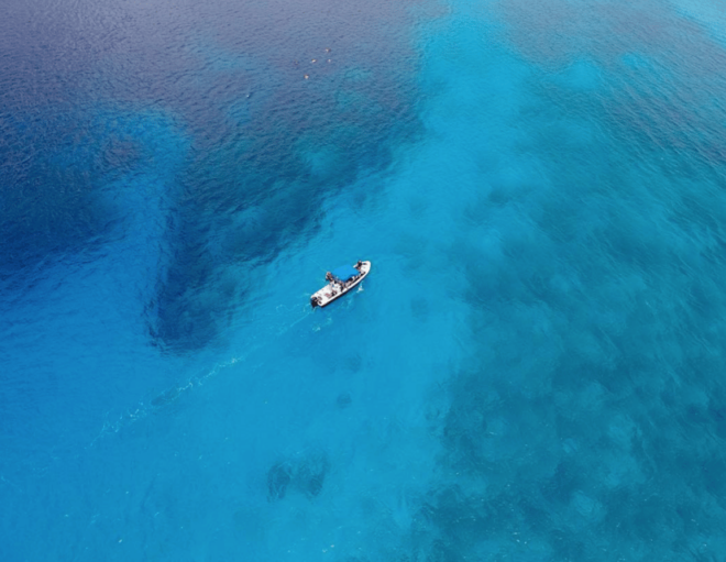 Playa: Dive in Cozumel - Protected National Park
