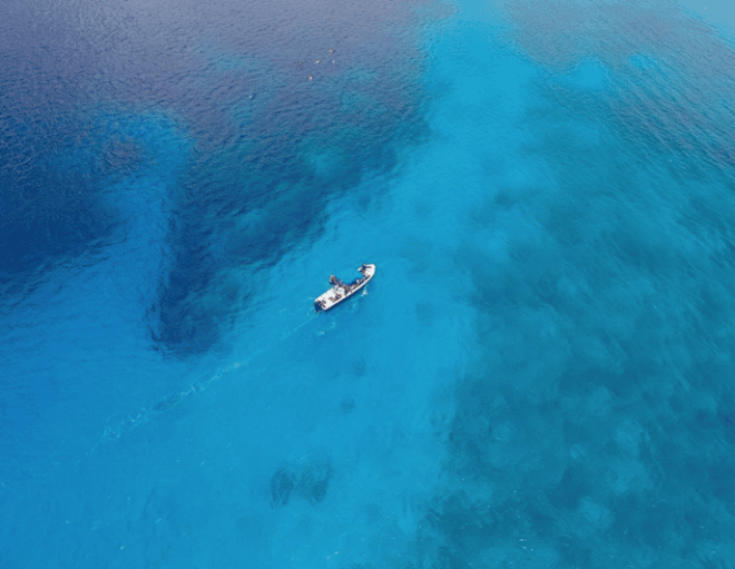 Playa: Dive in Cozumel - Pricing and Reservations