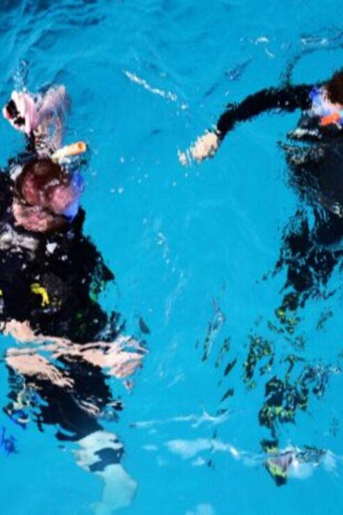 Playa: Diving Local Reef - Good To Know