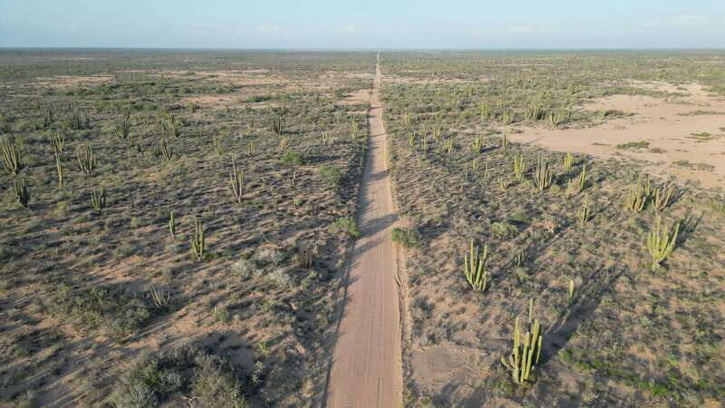Playa el Cardonal: tour and sandboarding activity in the dunes of Sahuimaro - Good To Know  