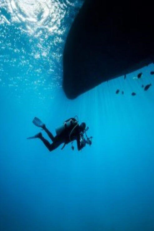 Playa: Night Dive - Experience Highlights