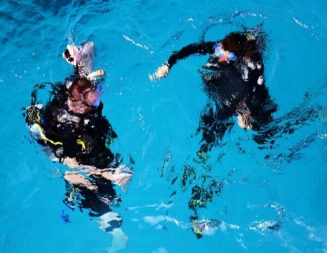 Playa: Night Dive - Participant Requirements