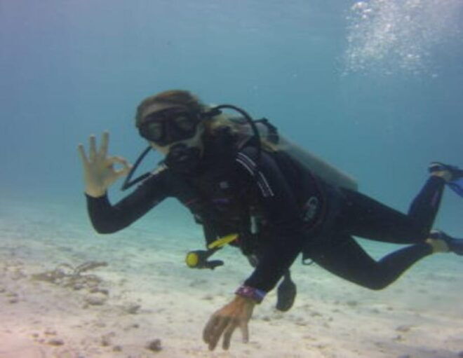 Playa: Night Dive - Booking and Cancellation