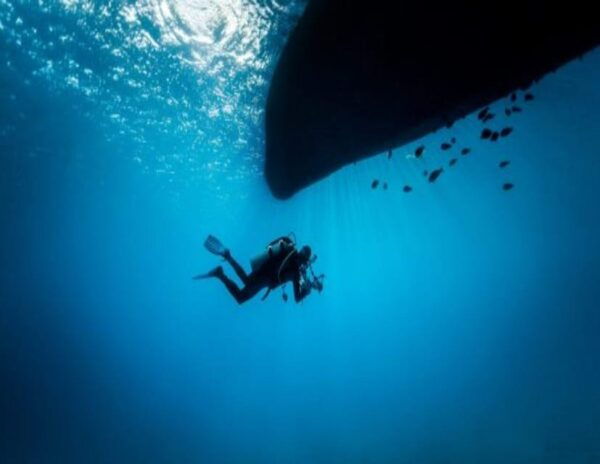 Playa: Night Dive - Frequently Asked Questions