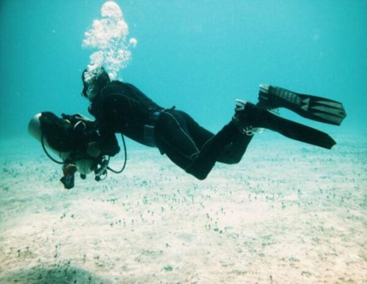 Playa: PADI Dive Master - Good To Know