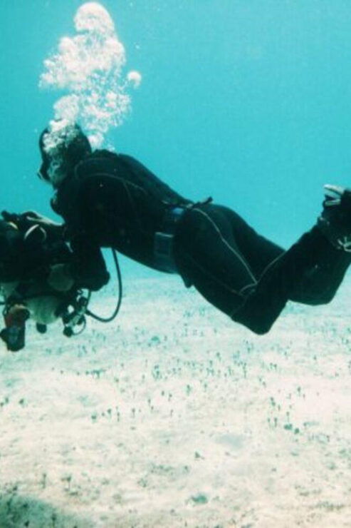 Playa: Rescue Diver - Booking Information