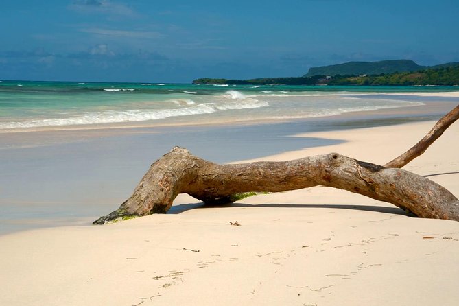 Playa Rincon Full-Day White Sand Beach Transport  - Dominican Republic - Tour Inclusions