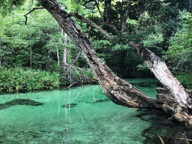 Playa Rincon Safari Adventure from Samaná for cruise ships - FAQ