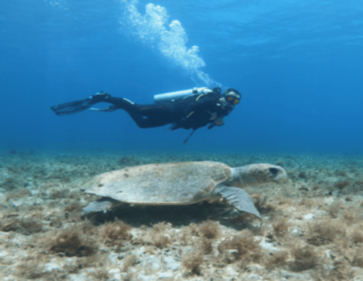Playa: Scuba Discovery - Good To Know