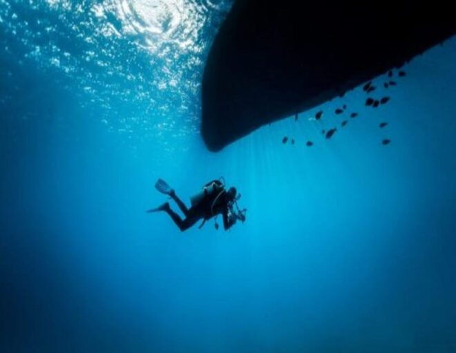 Playa: Wreck Dive - Experience Highlights