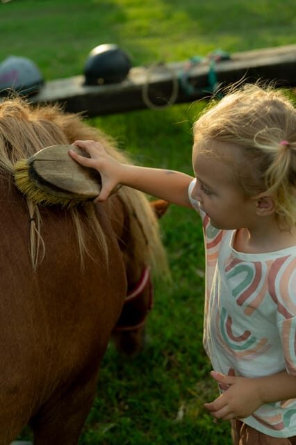 Playful Activities with Animals - Good To Know