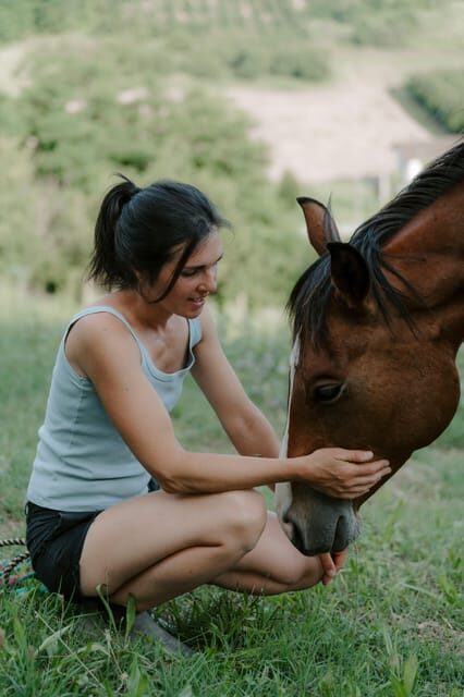 Playful Activities with Animals - What to Expect from the Animal Play Experience in Piedmont