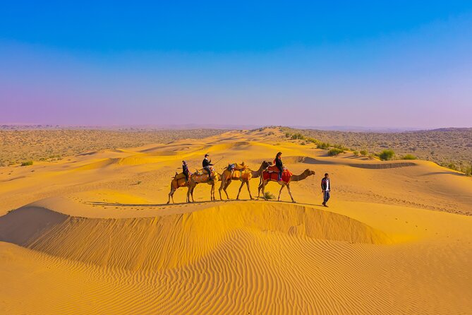 Pleasant Non-Touristic Overnight Camel Safari (From 2:00 PM to Approx. 10:30AM) - Safari Departure and Itinerary