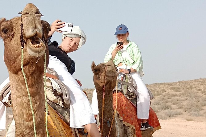 Pleasant Non-Touristic Overnight Camel Safari (From 2:00 PM to Approx. 10:30AM) - Sunset Camel Ride and Fort Visit