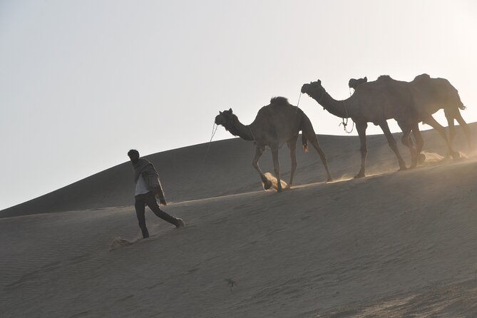 Pleasant Non-Touristic Sun Rise Tours With Breakfast on Dunes - Tour Details